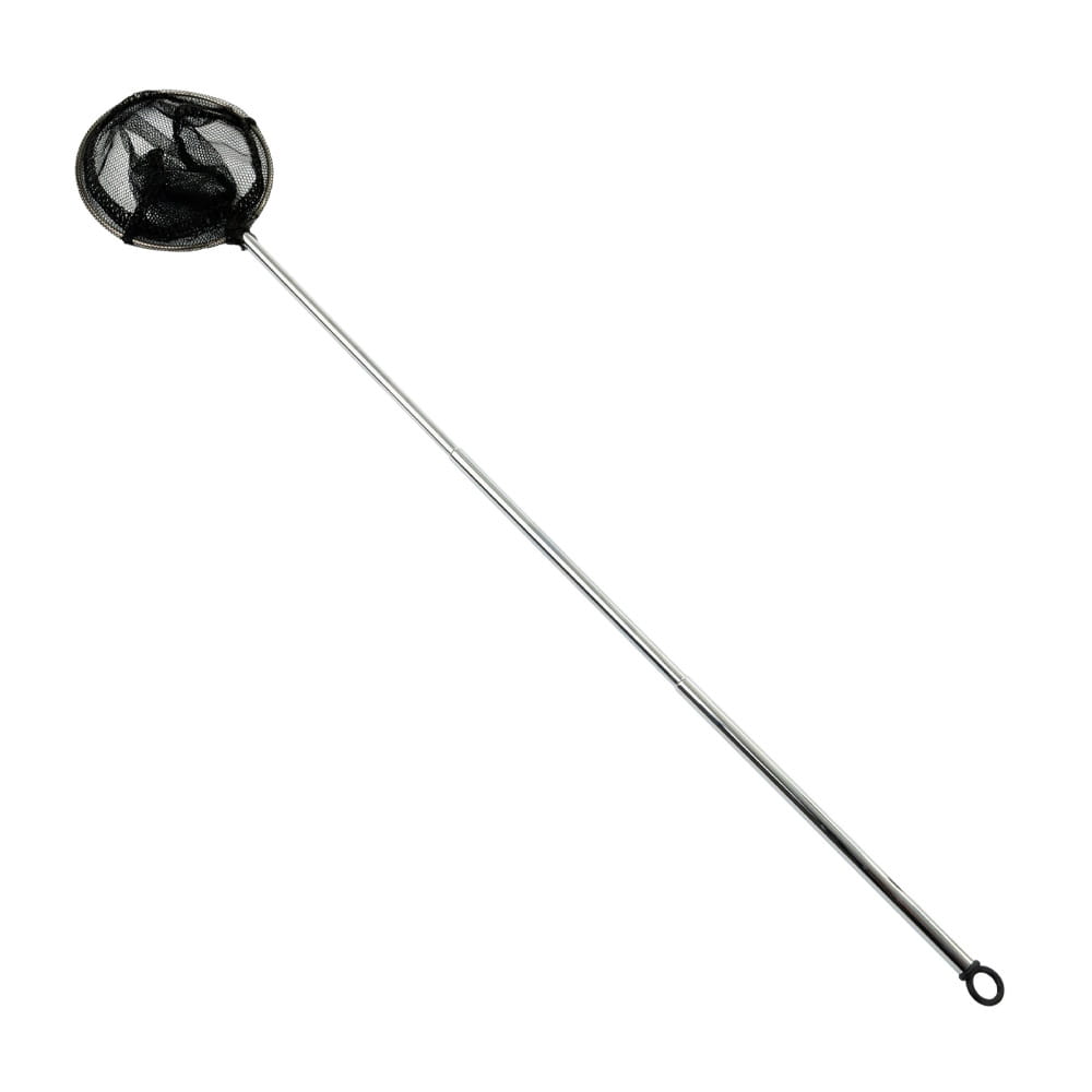 Siatka do Łowienia Ryb Krewetek Aluminiowa Teleskopowa 6,5x16-39cm